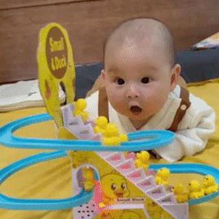 Vịt Cầu Trượt Leo Thang