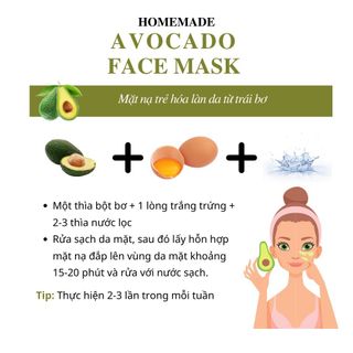 bột trái bơ 100gr