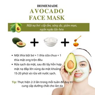 bột trái bơ 100gr
