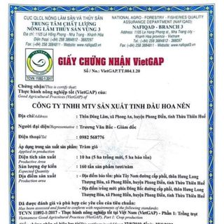 TINH DẦU TRÀM HOA NÉN