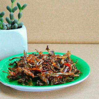 [SỈ TOÀN QUỐC] Khô Nhái, Nhái Khô, Vũ Nữ Chân Dài, Đặc Sản Tây Nguyên Hoa Mặt Trời Farm