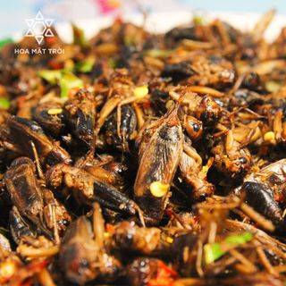 Dế Sấy Cay Giòn, đồ khô, đồ sấy, thực phẩm khô thực phẩm sấy làm đồ nhậu HOA MẶT TRỜI FARM