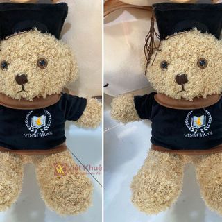 Gấu bông tốt nghiệp Vinschool giá sỉ