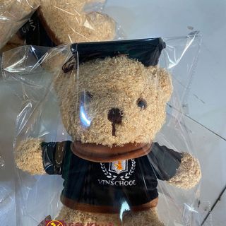 Gấu bông tốt nghiệp Vinschool