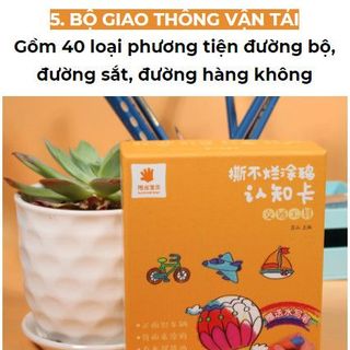 BỘ THẺ TÔ NƯỚC HỌC THEO CHỦ ĐỀ