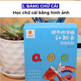 BỘ THẺ TÔ NƯỚC HỌC THEO CHỦ ĐỀ
