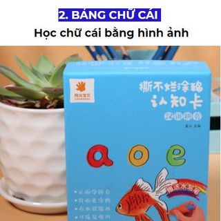 BỘ THẺ TÔ NƯỚC HỌC THEO CHỦ ĐỀ