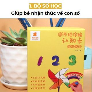 BỘ THẺ TÔ NƯỚC HỌC THEO CHỦ ĐỀ