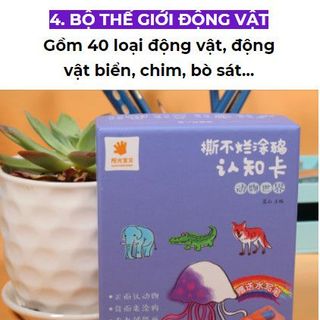 BỘ THẺ TÔ NƯỚC HỌC THEO CHỦ ĐỀ