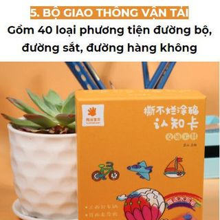BỘ THẺ TÔ NƯỚC HỌC THEO CHỦ ĐỀ