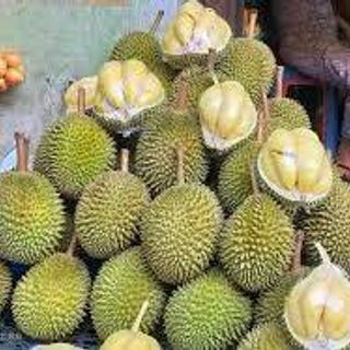 sầu riêng tách vỏ, tách hạt tươi và đông lạnh xuất khẩu