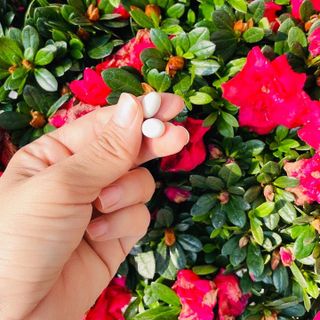 Sasaki wite viên uống trắng da