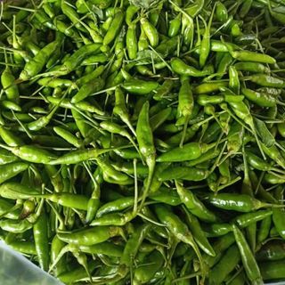 Ớt Xiêm Xanh