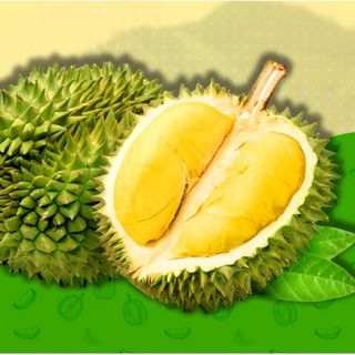 PHÂN HỮU CƠ VI SINH BK-ORGANIC