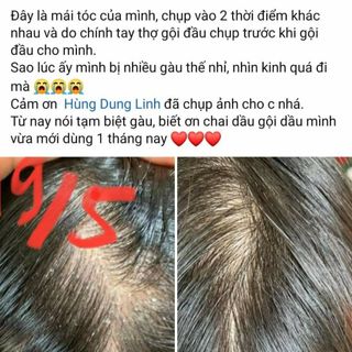 DẦU GỘI HỮU CƠ TRẦM HƯƠNG
