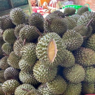 sầu riêng monthong lâm đồng