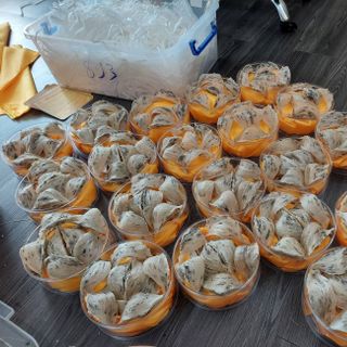Yến lông -Yến còn lông- Yến thô- Yến lông Nha Trang- Yến lông Khánh Hòa.