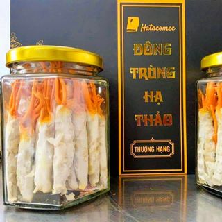 HATACO VIỆT NAM THÔNG BÁO TUYỂN ĐẠI LÝ PHÂN PHỐI NẤM ĐÔNG TRÙNG HẠ THẢO TRÊN TOÀN QUỐC