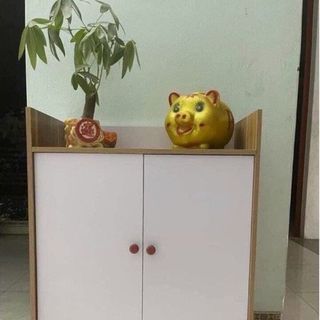 TỦ GIÀY DÉP 2 CÁNH 4 NGĂN