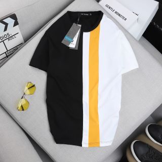 ÁO THUN NAM COTTON CAO CẤP PHỐI ĐẸP