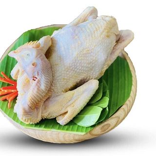 Trang trại gà Amarillo chuyên cung cấp thịt gà hữu cơ trên toàn quốc