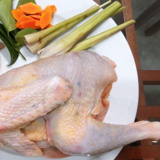 Trang trại gà Amarillo chuyên cung cấp thịt gà hữu cơ trên toàn quốc