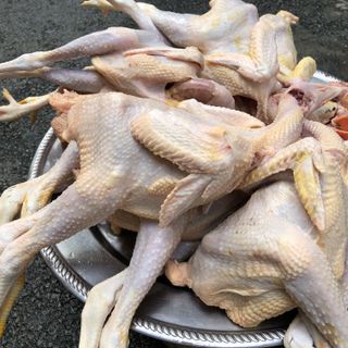 Trang trại gà Amarillo chuyên cung cấp thịt gà hữu cơ trên toàn quốc