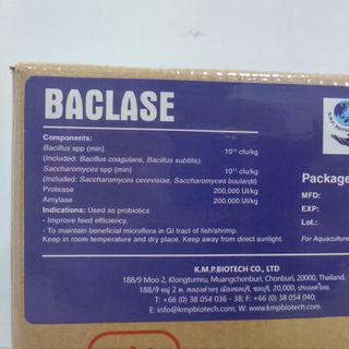BACLASE - Vi sinh nguyên liệu chuyên cắt các loại tảo độc trong ao nuôi thủy sản