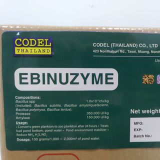 EBINUZYME - Vi sinh nguyên liệu chuyên cắt tảo, chuyển màu nước trong ao nuôi thủy sản giá sỉ