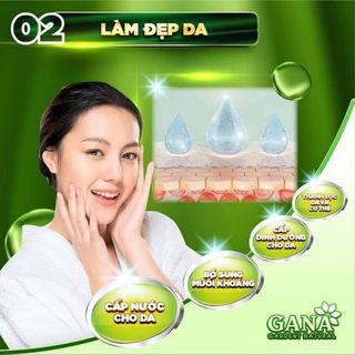 Tảo xoắn hena spirulina