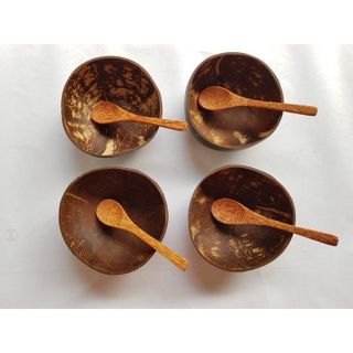 chén dừa- combo chén muỗng gáo dừa ăn ngũ cốc granola- bộ combo chén muỗng dừa giá sỉ