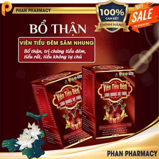 Viên Tiểu Đêm Sâm Nhung Bổ Thận  Phan Pharmacy – Giúp Bổ Thận, Giảm Tiểu Đêm, Tiểu Rắt, Tiểu Không Tự Chủ