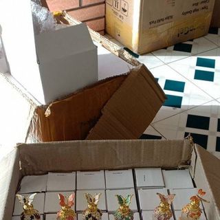 Bướm chuồn tinh dầu