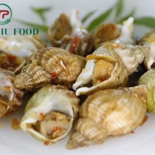 Ốc Bulot Pháp Loại 1- 20-25c/ký