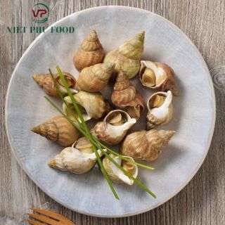 Ốc Bulot Pháp Loại 1- 20-25c/ký