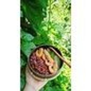 Bát gáo dừa, muỗng gỗ dừa bóng tròn đen đựng ngũ cốc granola, kem, mỹ phẩm, bé ăn dặm Unni