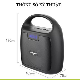 Đài Fm radio, hỗ trợ Bluetooth, thẻ nhớ, USB - Thương hiệu Zealot S42