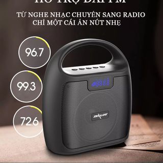 Đài Fm radio, hỗ trợ Bluetooth, thẻ nhớ, USB - Thương hiệu Zealot S42
