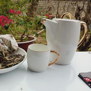 CHÈ GIẢM CÂN HIỆU QUẢ