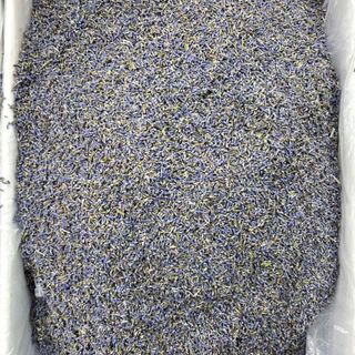 Lavender (oải hương)