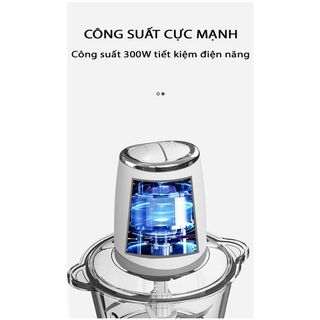 Máy Xay Thịt Gia Đình Zilizz Tự Động Đa Năng Công Suất Lớn Mẫu Mới 2022