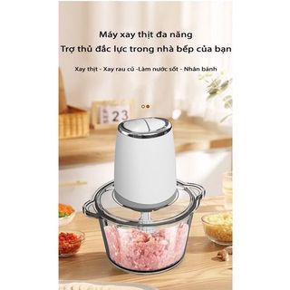 Máy Xay Thịt Gia Đình Zilizz Tự Động Đa Năng Công Suất Lớn Mẫu Mới 2022