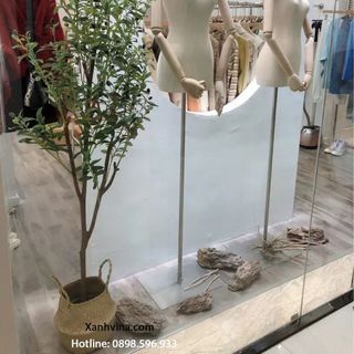 Cây Oliu giả trang trí (cao 1m2 – 2m4)