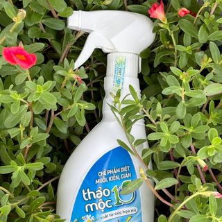Diệt Côn Trùng Gián, Kiến, Kiến Ba Khoang, Muỗi, Ruồi, Mối, Mọt 100% Sinh Học Thảo Mộc 10s Hương Sả Chanh Chai Xịt 500ml An Toàn Cho Sức Khỏe Em Bé Và Người Già, Đã Được Bộ Y Tế Cho Phép Lưu Hành