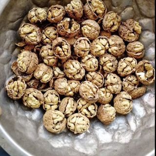 1KG QUẢ ÓC CHÓ NẾP