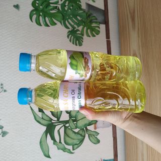 Tuyển ctv bán Tinh dầu lau nhà