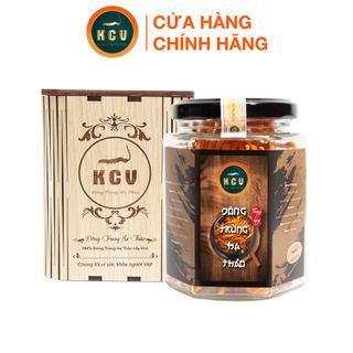 Combo 5 Hộp Đông Trùng Hạ Thảo Khô Kim Cương Vàng - Tặng 2 Hộp Đông Trùng Hạ Thảo Khô