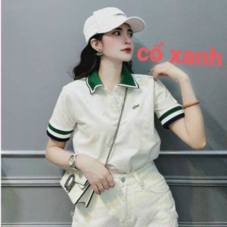 Áo polo nữ