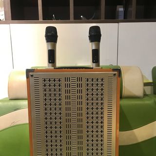 Loa kéo Ontekco 8002 kết nối blutooth di động Kèm 2 mic hát karaoke không dây cao cấp - Bảo hành chính hãng 12 tháng