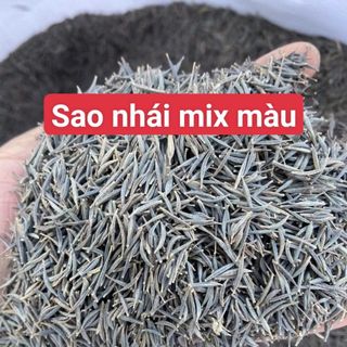 HẠT GIỐNG HOA SAO NHÁI MIX MÀU